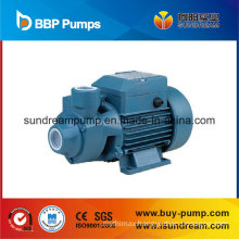 Popular Good Quality Vortex Pump with Ce (QB series)